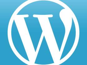整站更新至WordPress 5.6，因主题原因尚未切换到PHP8.0