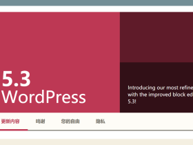 更新个WordPress实在是太难了