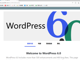 Wordpress6.0更新了，感觉5.6以后，就不知道更新的是什么