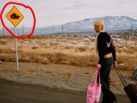 美国青楼的组图——有一张亮了