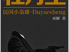 《民国小枭雄杜月笙》:一个黑帮少年的励志故事