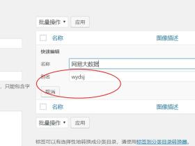 Wordpress中文Tag标签点击后出现404页面的解决方案