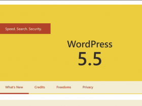 Wordpress5.5发布，官网仍然没开通与中国大陆的更新通道