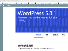 全站更新Wordpress5.8.1，手动升级，差点挂了