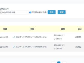 Zblog的附件库不能直接预览图片,不能直接插入图片