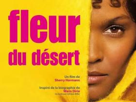 沙漠之花:是在绝无光明的黑暗之中,还给自己留存希望