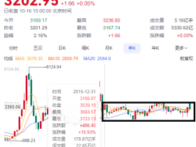 2024.10.16股市收于3202.95点