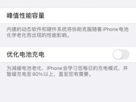 更新IOS14系统后，电池损耗加剧，不知是电池的问题还是统计的问题