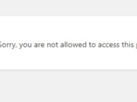完美解决Wordpress升级后Sorry, you are not allowed to access this page错误