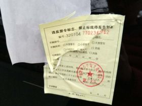 南京的春节，收获意外惊喜