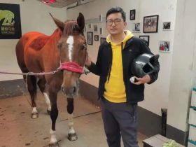 超技马房三日游：我从修自行车的人又变成了一个马夫，人生处处有惊喜