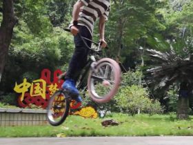 说下对BMX自行车入门级豚跳动作难度的理解