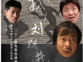 农民式狡猾：《我叫刘跃进》影评