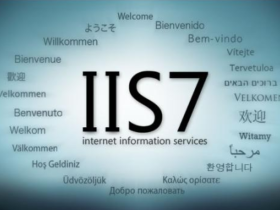 IIS主机Wordpress后台分类目录和标签404的解决方案