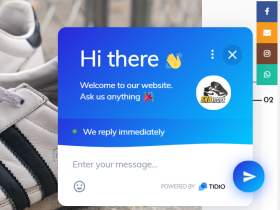 Wordpress的Facebook或What'app网站挂角在线聊天插件
