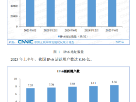 浅谈第56次《中国互联网络发展状况统计报告》