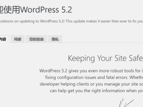 WordPress更新到5.2，新增了站点安全检查功能