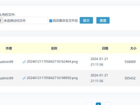 Zblog的附件库不能直接预览图片，不能直接插入图片