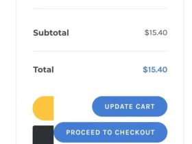 AVADA主题下Paypal CheckOut按钮被遮盖的问题