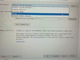 NetBeans开发工具报“Could not access the URL... ”解决方案