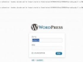 解决WordPress备份还原后的异常