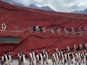 丽江千古情：果然和宋城千古情是一个导演