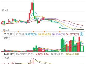 乐视网退市：这下真的为梦想窒息了