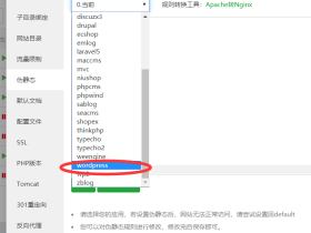 设置Wordpress二级目录伪静态