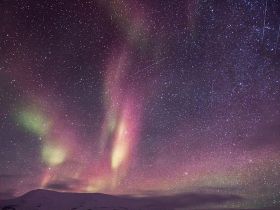 紫微斗数辅星概述之天喜、红鸾、华盖