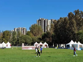 养一匹运动马，一年要花多少钱