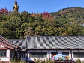 紫微斗数：哪些命格到了中年，‘劫数’特別多？​
