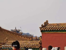紫微斗数：紫微星在不同宫位，所带来不同的现象