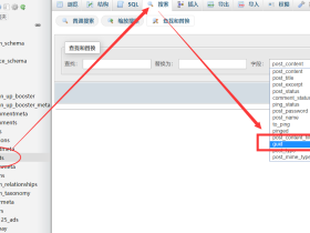 WordPress更换域名后，在数据库里替换原有链接的方法