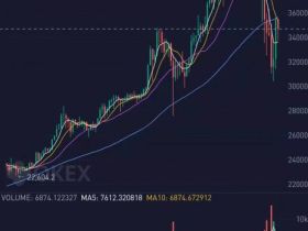 比特币2021年开年过山车：数字货币为什么始终这么刺激