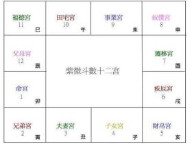 紫微斗数：不可忽视却十分容易被忽视的兄友线