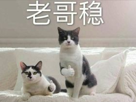 贵人格之左右同宫格：性喜助人、企划能力强