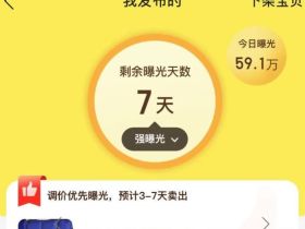 闲鱼项目：操作简单，准备工作复杂，不过是个赚零花的好地方