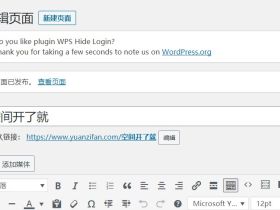 Wordpress文章的固定链接不能更改解决办法